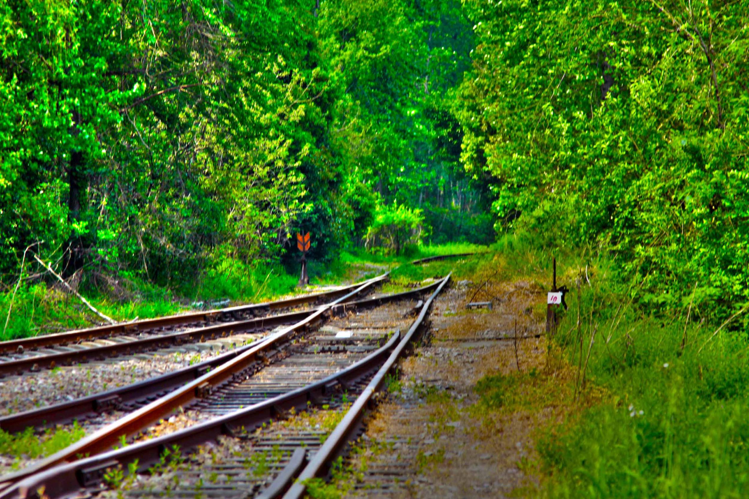 我省今年年內(nèi)有4條鐵路線投入運(yùn)營更多出行選擇！