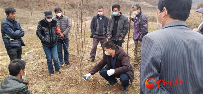 【甘肅全民戰(zhàn)“疫”】隴南徽縣：花椒田里培訓(xùn)忙，戰(zhàn)疫春耕兩不誤