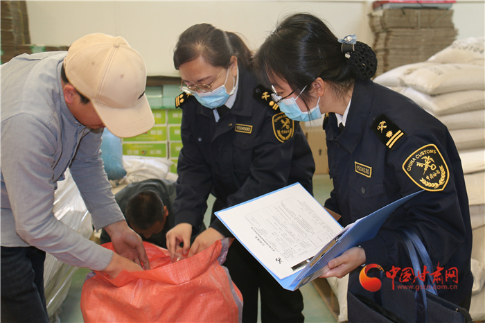 一季度甘肅省出口種子實現(xiàn)開門紅