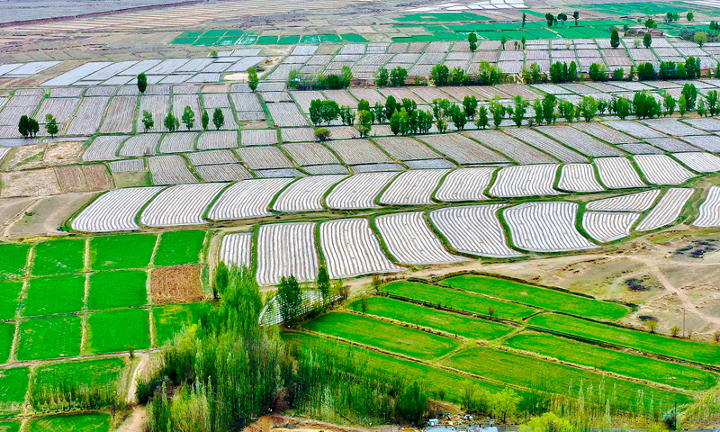 【小隴畫報·88期】甘肅山丹：騰退復(fù)墾 沃野縱橫煥生機(jī)