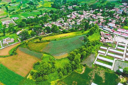 【溫暖的回響 滄桑巨變 飲水思源】這條路，通往幸福