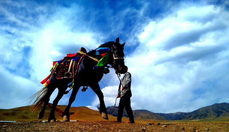 好消息！天祝被命名為“中國(guó)高原走馬之鄉(xiāng)”