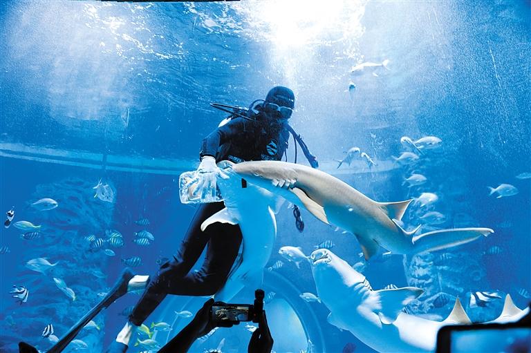 蘭州海洋公園 金昌火星1號(hào)基地 這個(gè)暑假我們“上天入?！?>
        </a><em>蘭州海洋公園 金昌火星1號(hào)基地 這個(gè)暑假我們“上天入?！?/em></li>
    <li><a  target=