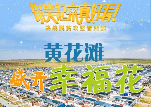 【你笑起來真好看】黃花灘盛開幸?；ǎ▓D解）