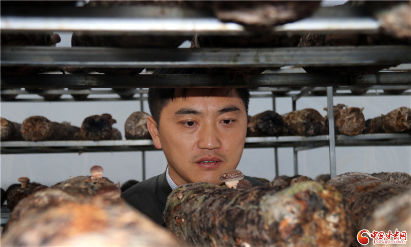 110年！何家溝村終于有了集體經濟——中建二局黨建結對幫扶成效顯著