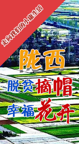 【走向我們的小康生活】長圖|隴西：脫貧摘帽 幸?；ㄩ_