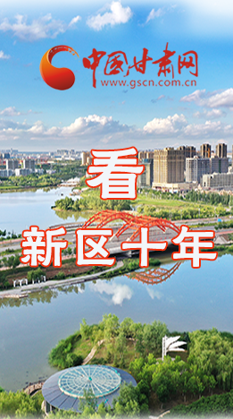 圖解|崛起！新區(qū)十年