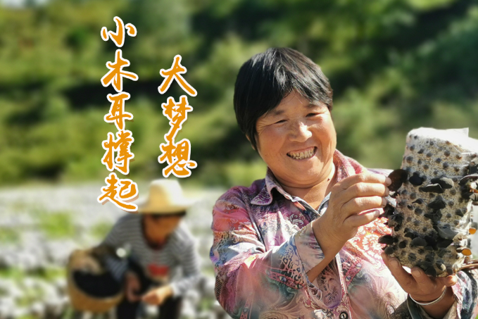 海報丨他們，乘“豐”破浪！