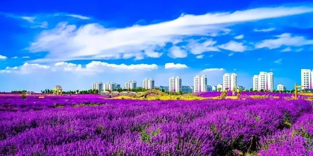 喜訊！金昌蟬聯(lián)全國(guó)文明城市