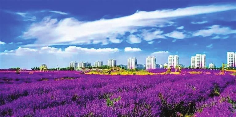 “三連冠”！金昌蟬聯(lián)全國(guó)文明城市