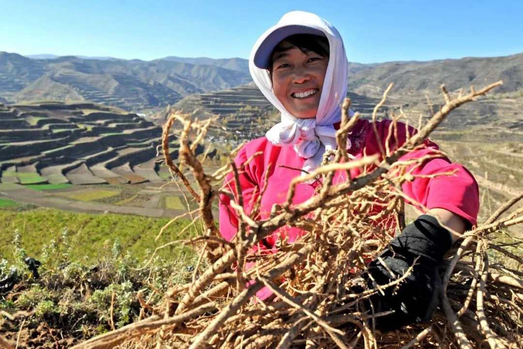 甘肅隴南：“互聯(lián)網+”助推消費扶貧促增收