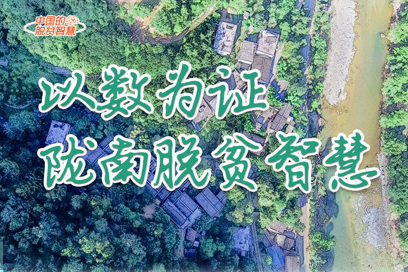 【中國(guó)的脫貧智慧】以數(shù)為證！隴南脫貧智慧來了！