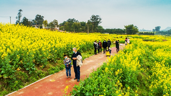 游客在花海里踏青。廖濤 攝