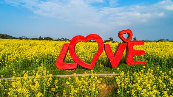 “l(fā)ove”創(chuàng)意拍照墻。廖濤 攝