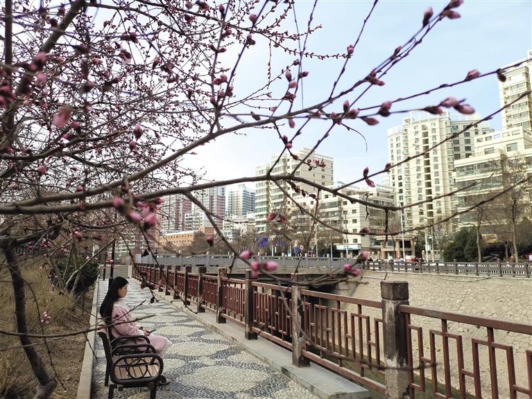 蘭州“第一朵花”開了！