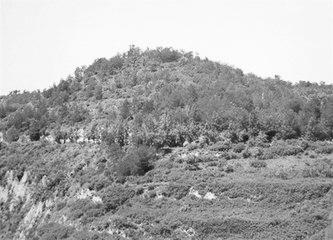 歷史眼丨張果老是正寧人？他與甘肅福緣不淺