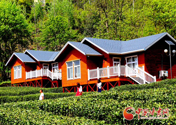 文縣：“體驗(yàn)式”民宿 開(kāi)啟茶農(nóng)增收“新路子”