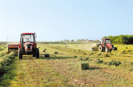 寧縣中泰種養(yǎng)殖農民專業(yè)合作社種植的6800畝紫花苜蓿開始二茬收割