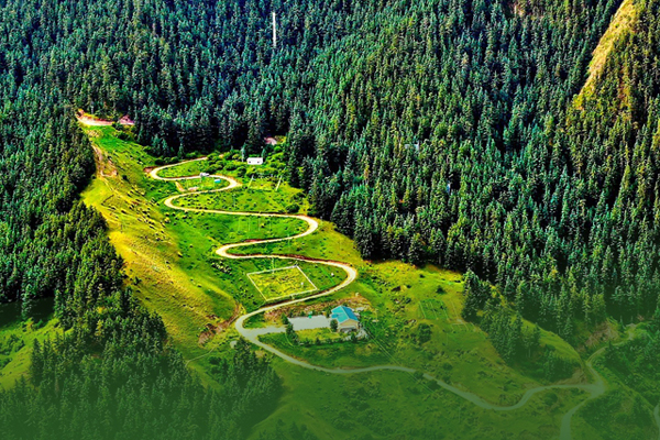 海報|祁連山保護區(qū)生態(tài)環(huán)境問題整改全面完成！