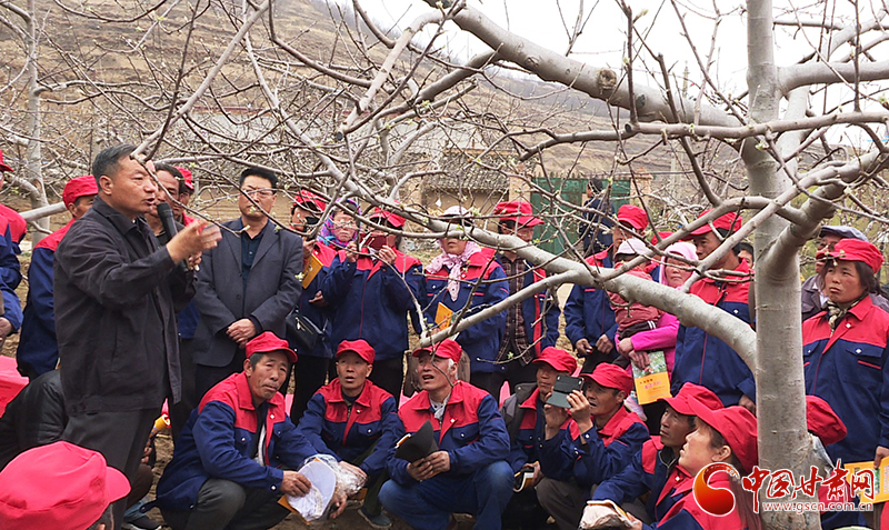 【小康圓夢(mèng)·看甘肅】天津武清攜手甘肅靜寧奔小康 奏響富民“交響曲”