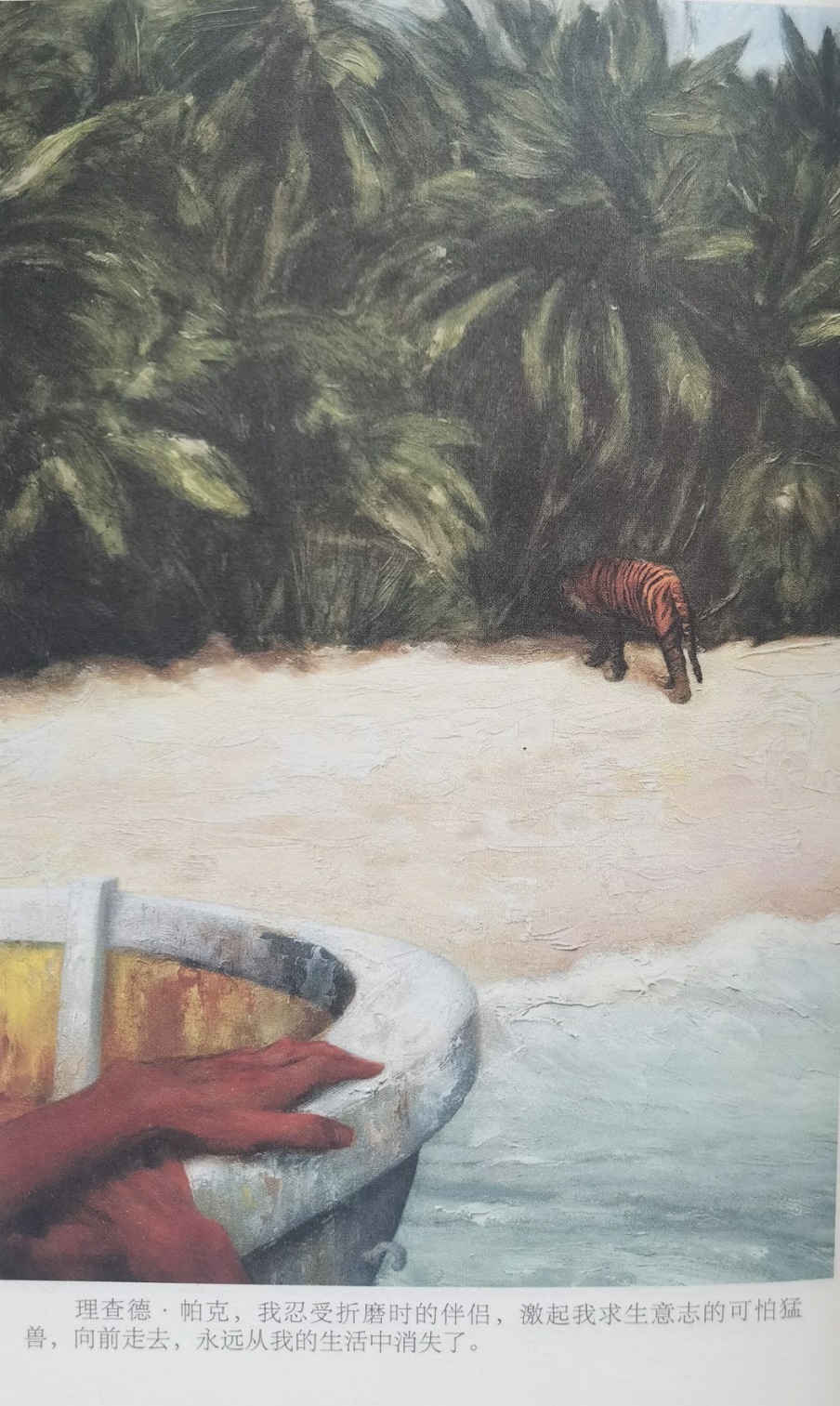插圖3：揚(yáng)？馬特爾的小說《少年pi的奇幻漂流》插圖
