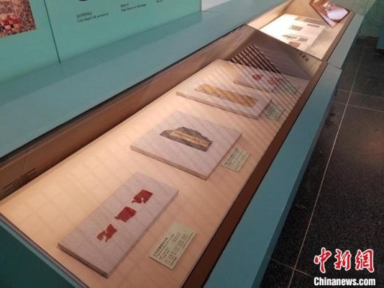 圖為展覽現(xiàn)場?！《鼗脱芯吭汗﹫D