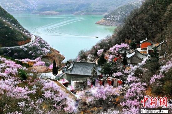 甘肅平?jīng)鍪惺侵袊鴥?yōu)秀旅游城市。圖為平?jīng)鲠轻忌较率锾一ㄊ㈤_。(資料圖) 平?jīng)鍪形麄鞑抗﹫D