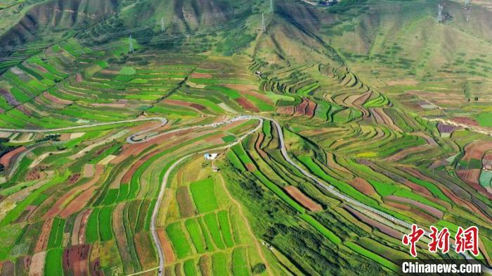 秋日里，榆中縣馬坡鄉(xiāng)千畝梯田，不同農(nóng)作物漸趨成熟，呈現(xiàn)出多種色彩，宛若大地的“調(diào)色盤”。　劉曉波 攝