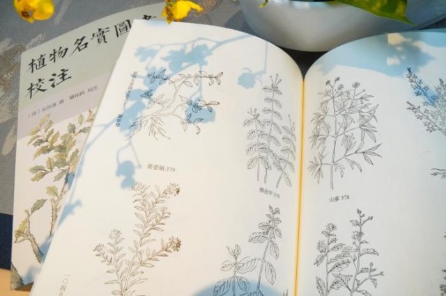 《植物名實圖考校注》內(nèi)頁。圖片來源：中華書局供圖