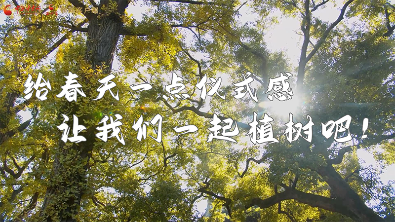 短視頻|給春天一點儀式感，讓我們一起植樹吧！