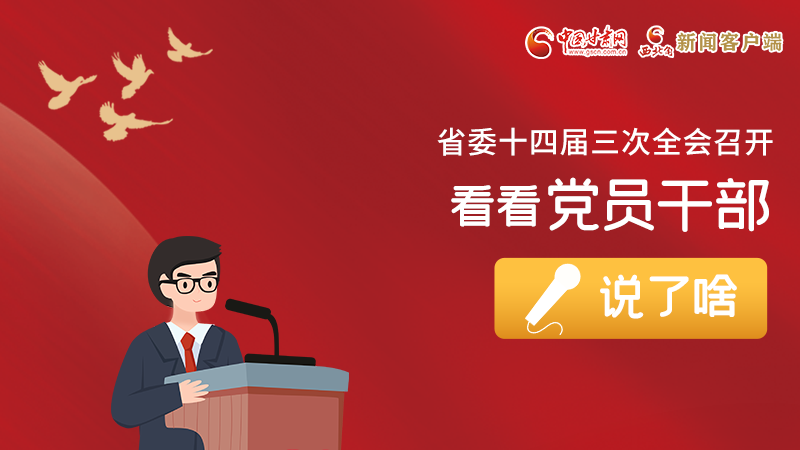 圖解|事關(guān)甘肅省委十四屆三次全會，黨員干部這么說！