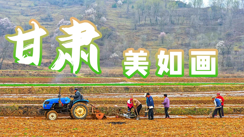 微海報(bào)|甘肅，美如畫