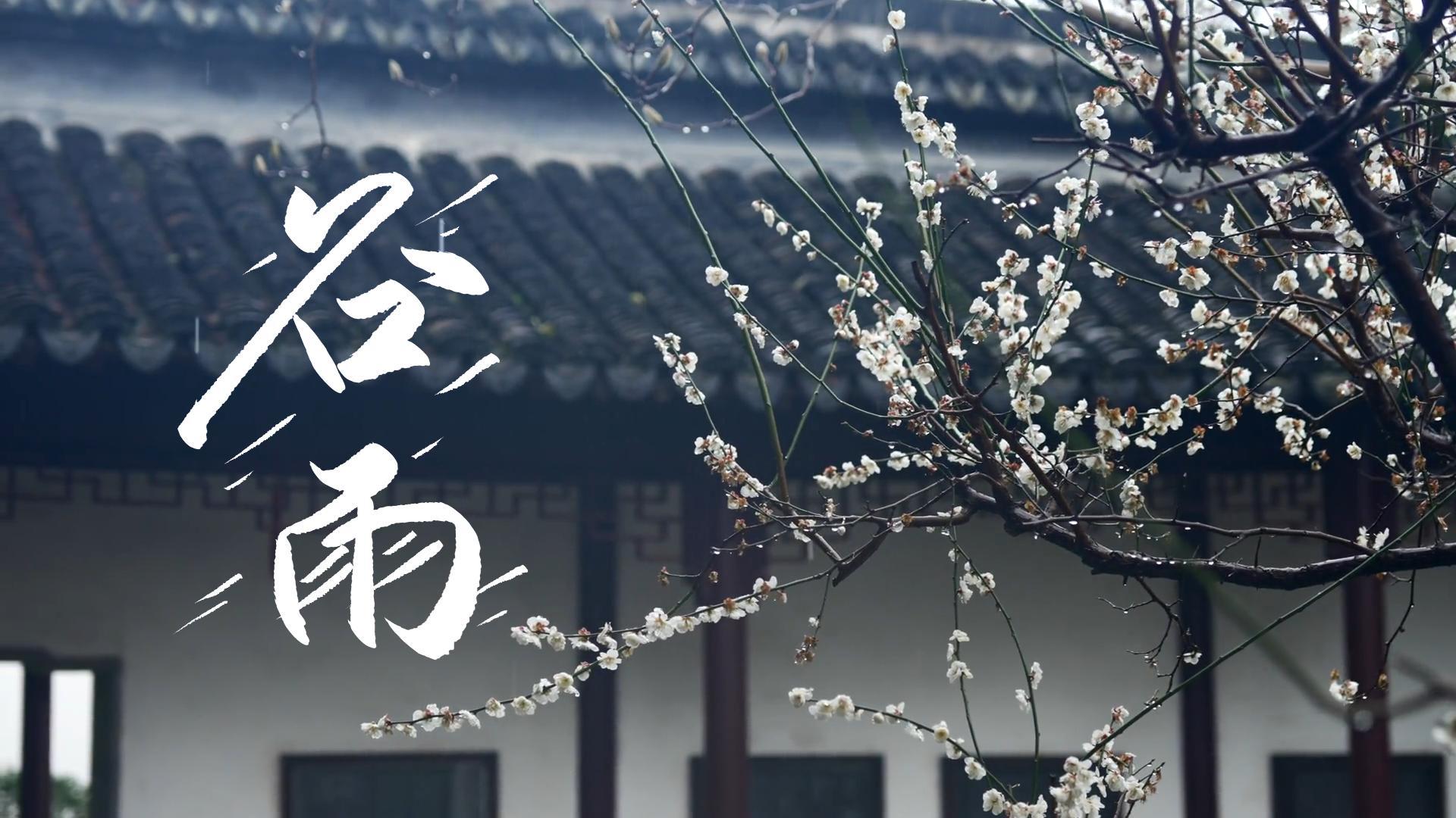 【節(jié)氣里的大美甘肅】谷雨，春天的最后一次回眸