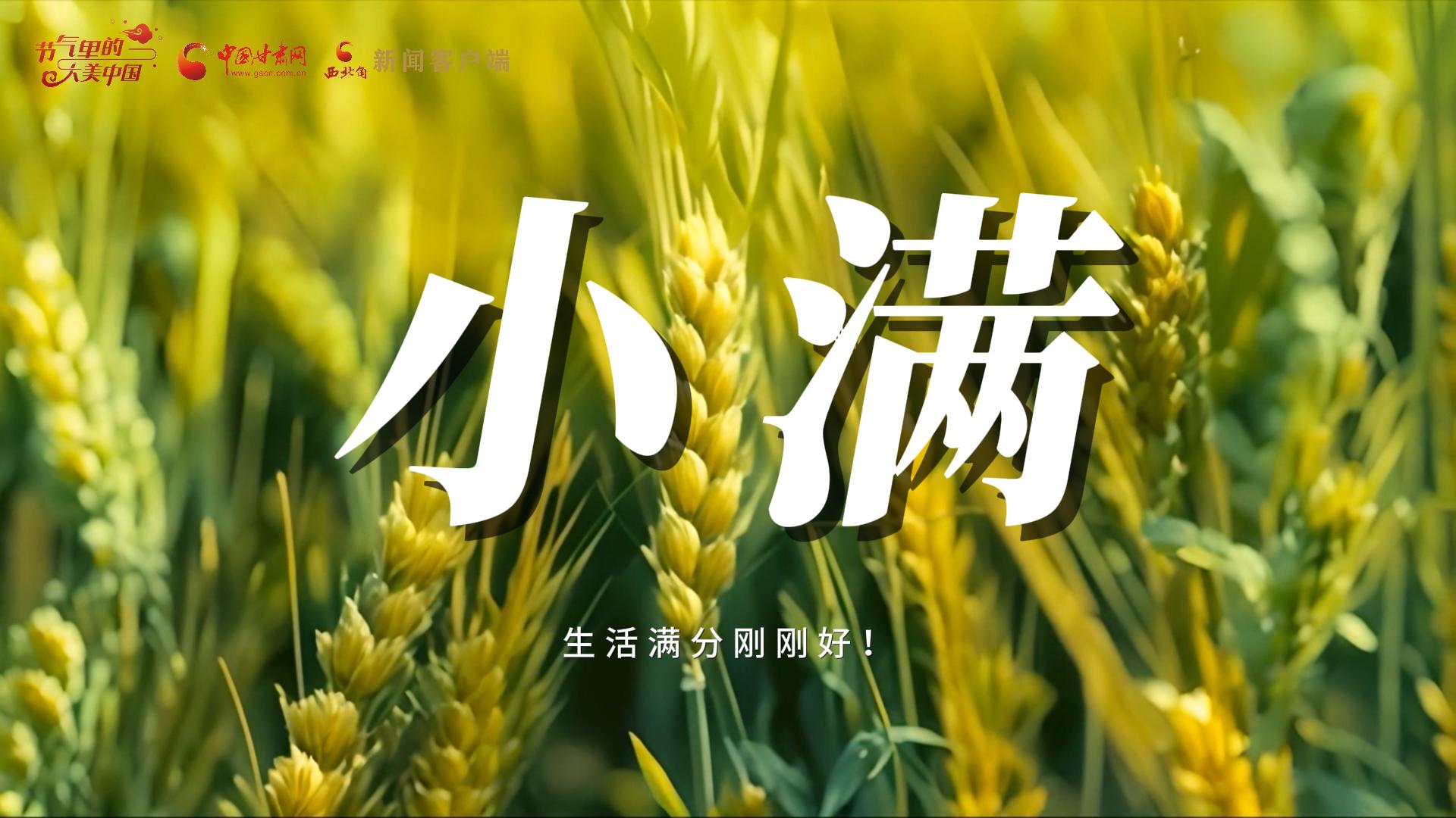 【節(jié)氣里的大美甘肅·小滿】生活滿分剛剛好！