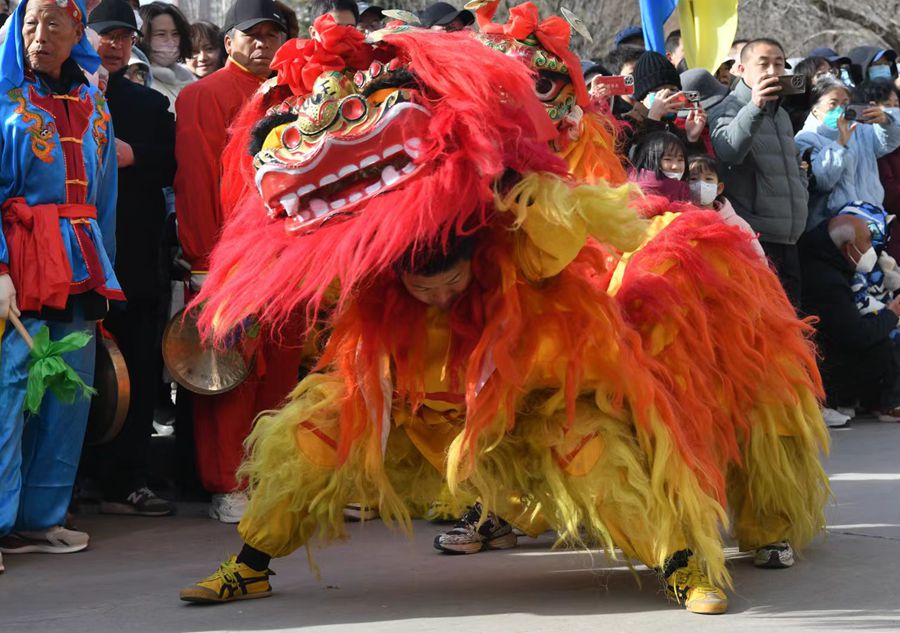 蘭州北獅表演現(xiàn)場(chǎng)。受訪者供圖