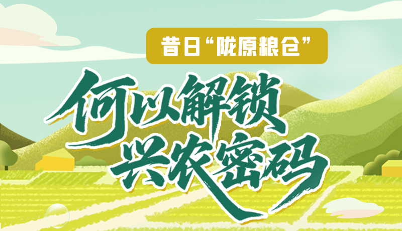 【理響中國·話隴點睛（3）】昔日“隴原糧倉”，何以解鎖“興農(nóng)密碼”