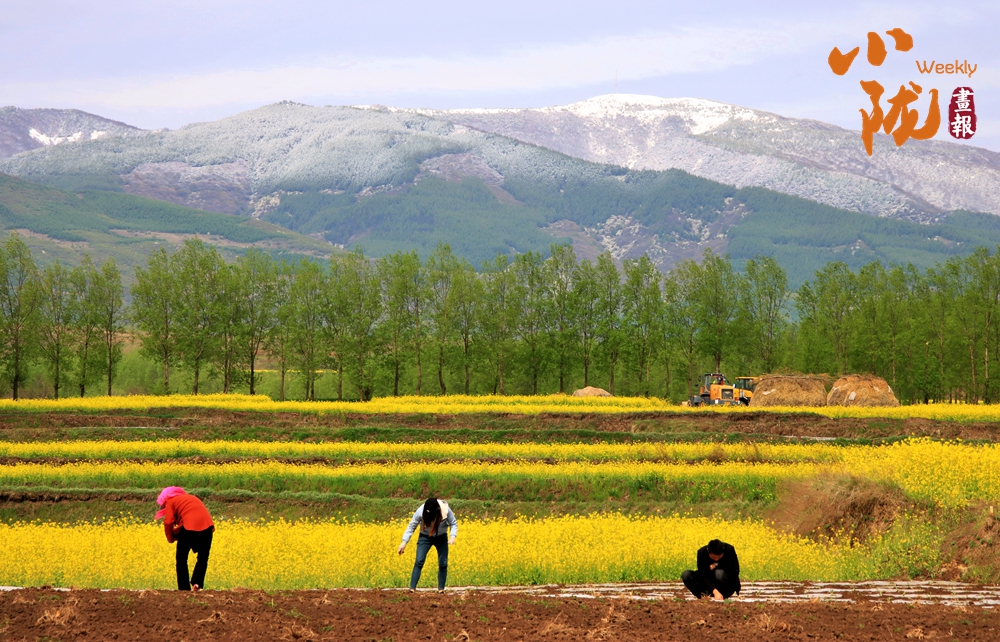 華亭 霧漫山灣隱村舍 春風(fēng)又度山寨鄉(xiāng)