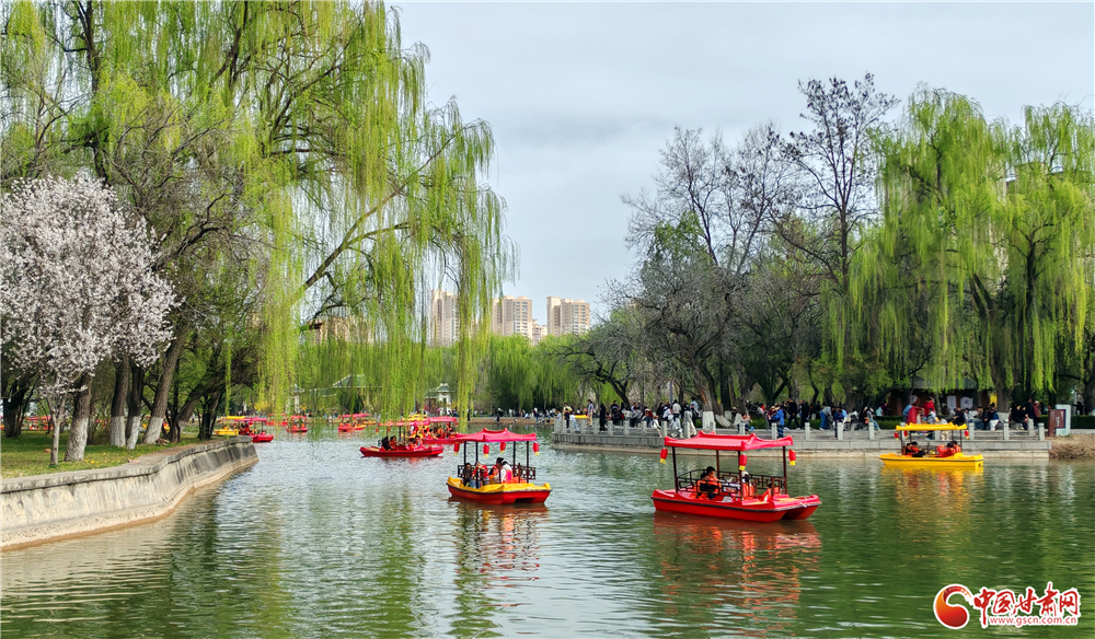 高清組圖丨金城清明好風(fēng)光 花映黃河游人醉